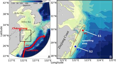 Changjiang and Kuroshio contributions to oxygen depletion on the Zhejiang Coast